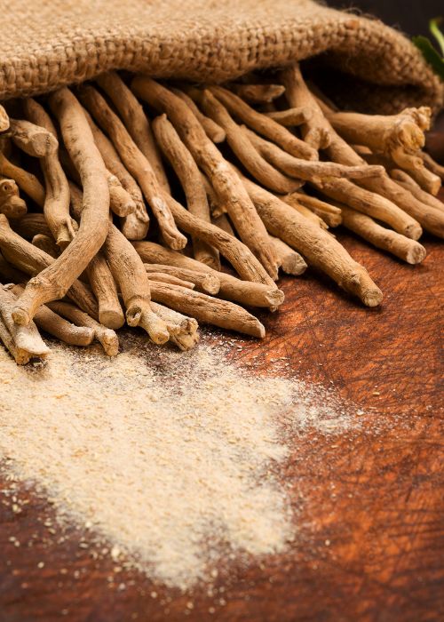 Ashwagandha 100-ashwagandha-roots-1723110334033.jpg