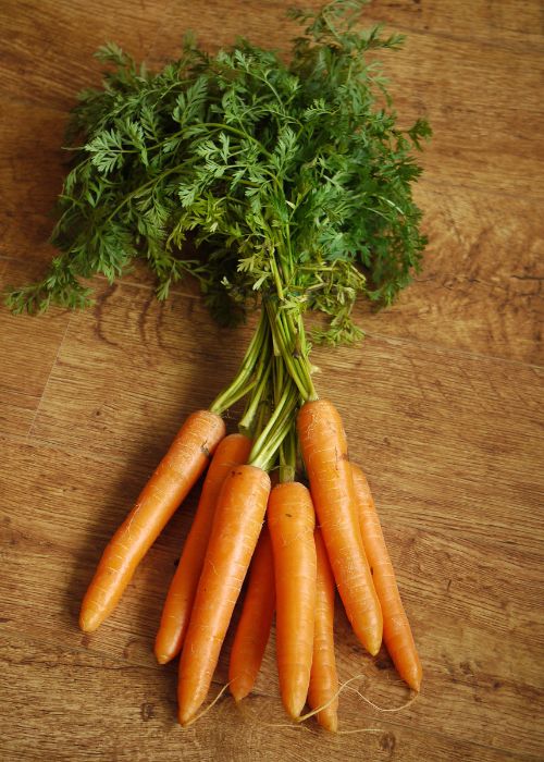 100-carrots-17231103333754.jpg