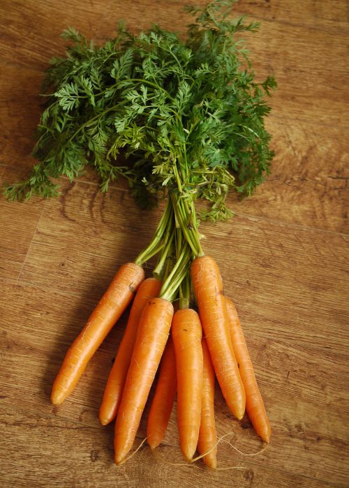 Carrot 100-carrots-17231103333754.jpg