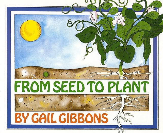 1645-seed-to-plant-1719887458704.jpg