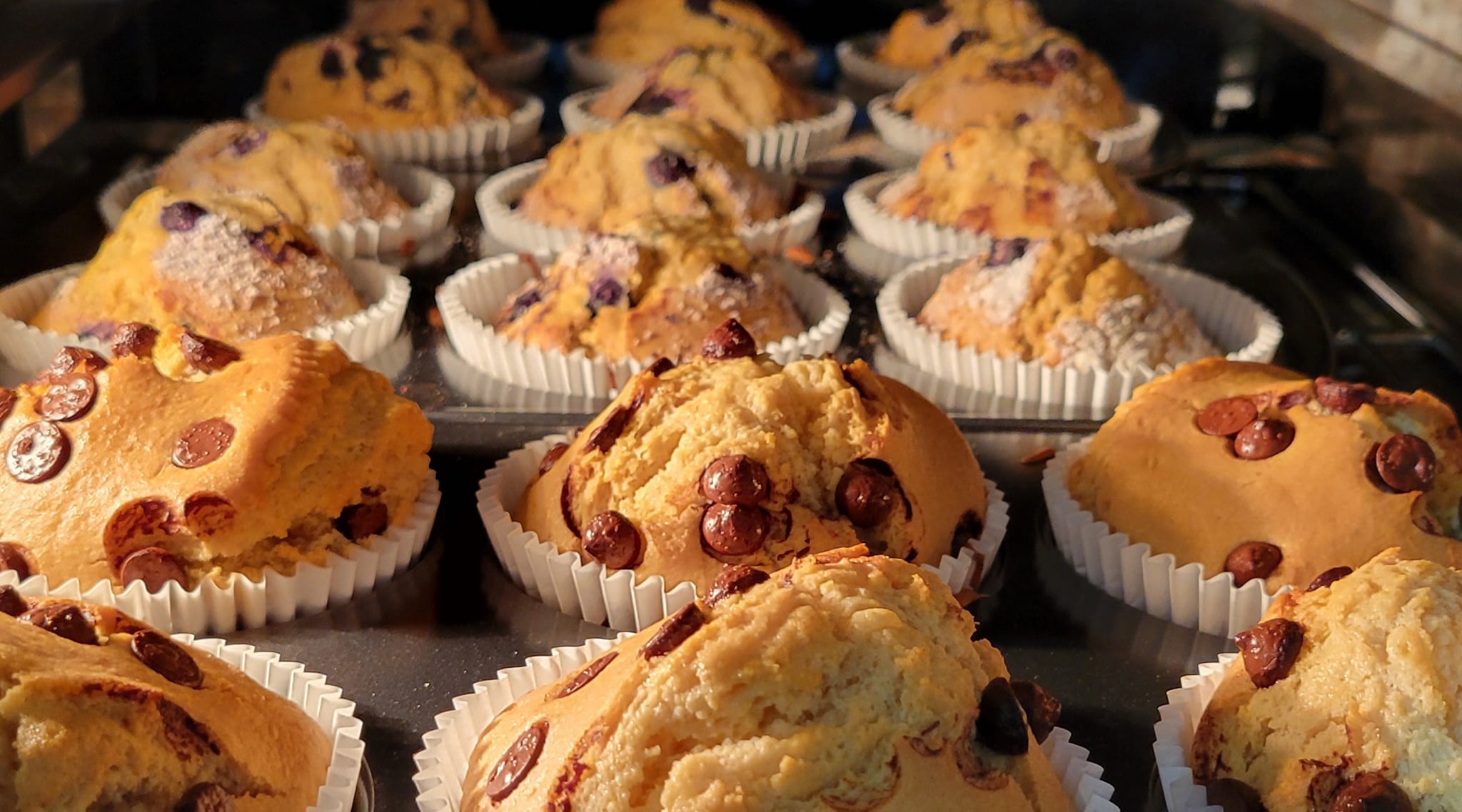 107-muffins-17267600688761.jpg