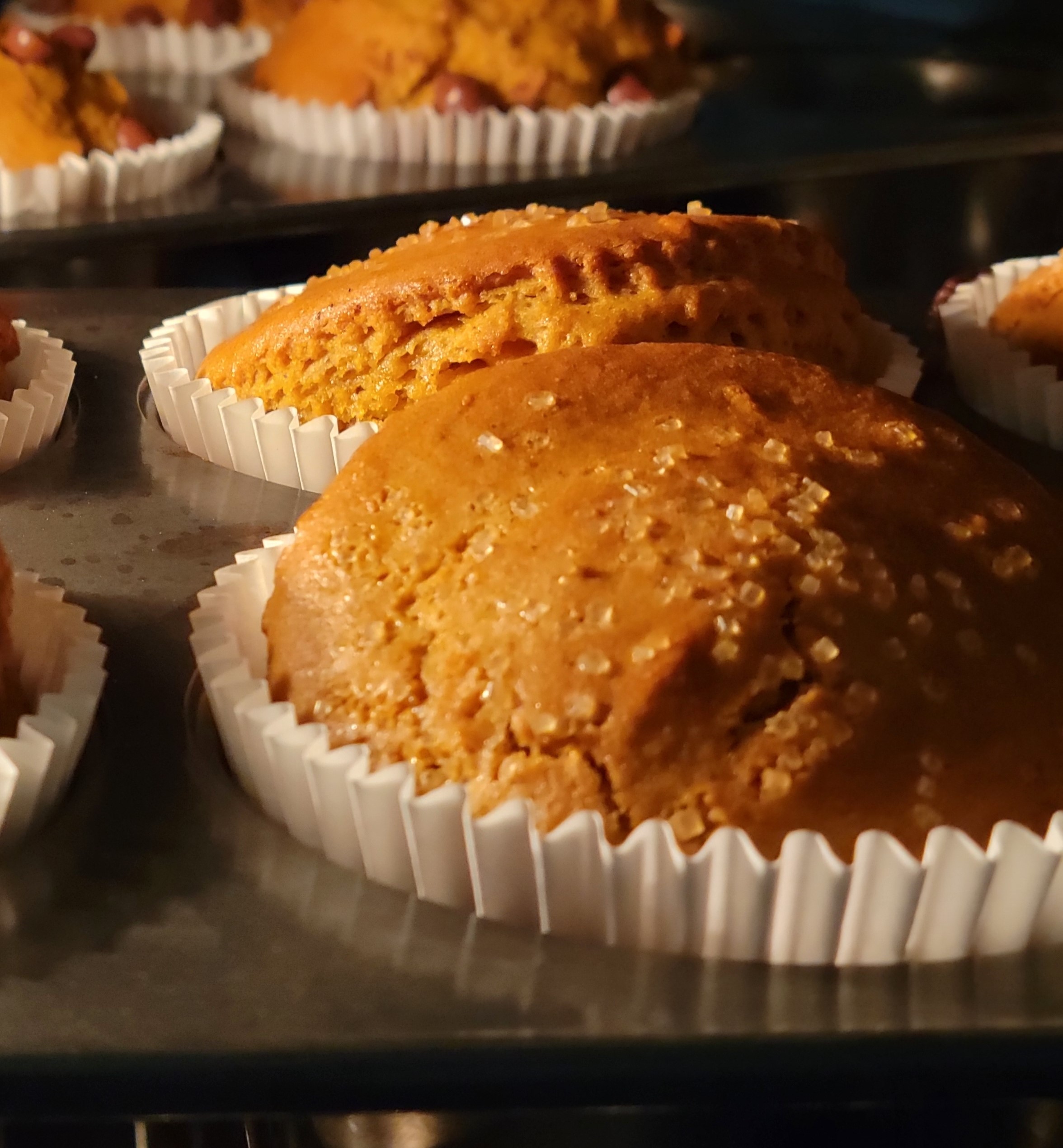 7-muffin-crop-17267683172414.jpg