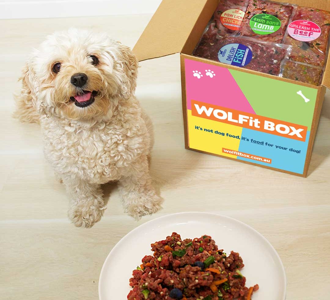 raw dog food perth subscription box