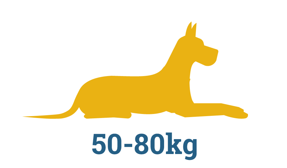 XXXL Raw Dog Food Subscription Box XXXL Raw Dog Food Subscription Box in Perth