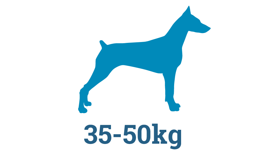 XXL Raw Dog Food Subscription Box XXL Raw Dog Food Subscription Box in Perth