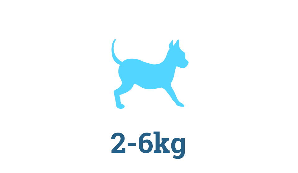 X-Small Raw Dog Food Subscription Box X-Small Raw Dog Food Subscription Box in Perth