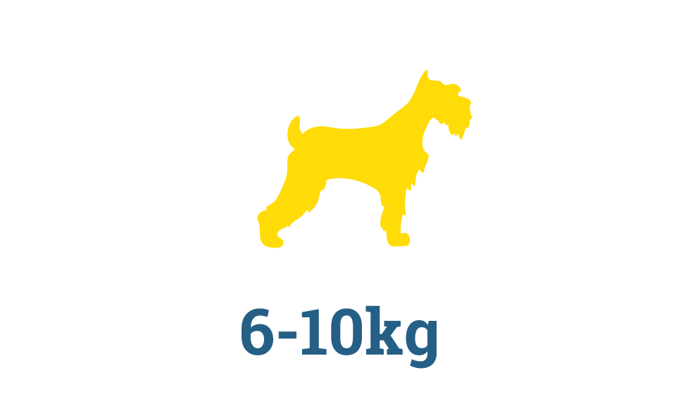 Small Raw Dog Food Subscription Box Small Raw Dog Food Subscription Box in Perth
