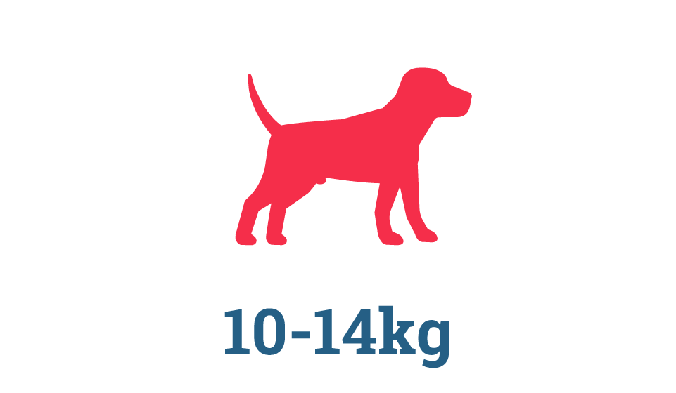 Small-Medium Raw Dog Food Subscription Box Small-Medium Raw Dog Food Subscription Box in Perth