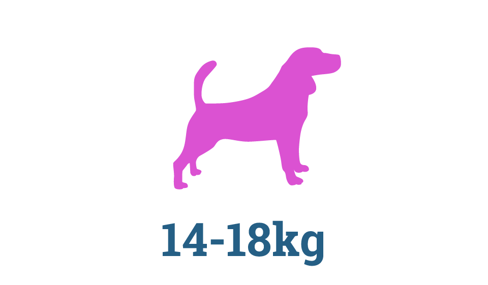 Medium Raw Dog Food Subscription Box Medium Raw Dog Food Subscription Box in Perth
