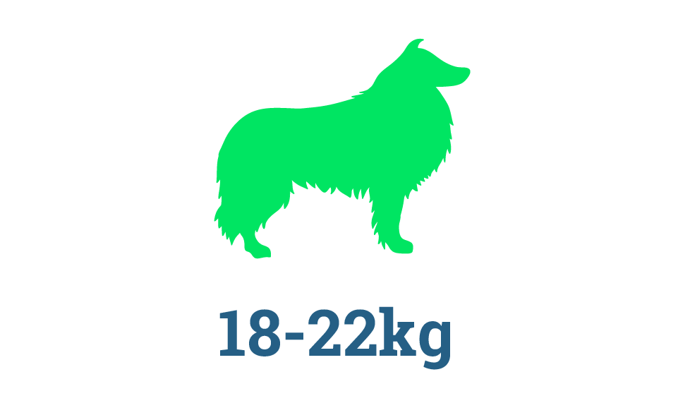 Medium-Large Raw Dog Food Subscription Box Medium-Large Raw Dog Food Subscription Box in Perth