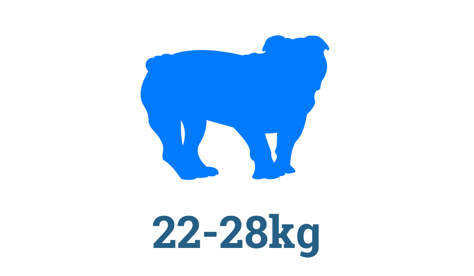 Large Raw Dog Food Subscription Box Large Raw Dog Food Subscription Box in Perth