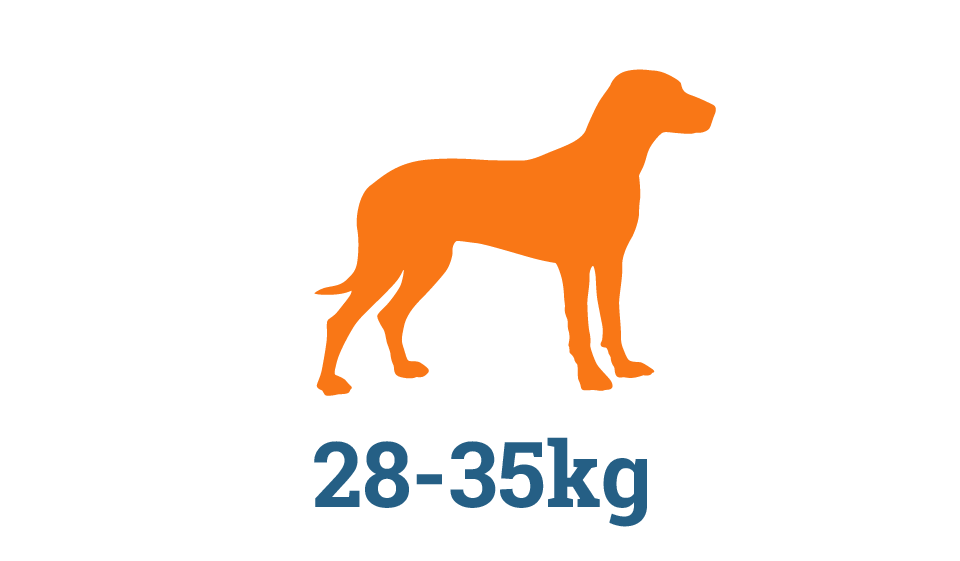 XL Raw Dog Food Subscription Box XL Raw Dog Food Subscription Box in Perth