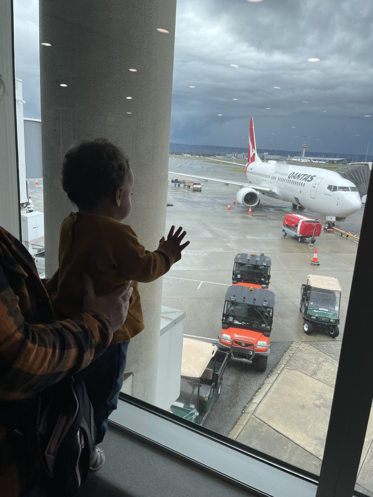 174-looking-at-plane-17523331097314.jpg