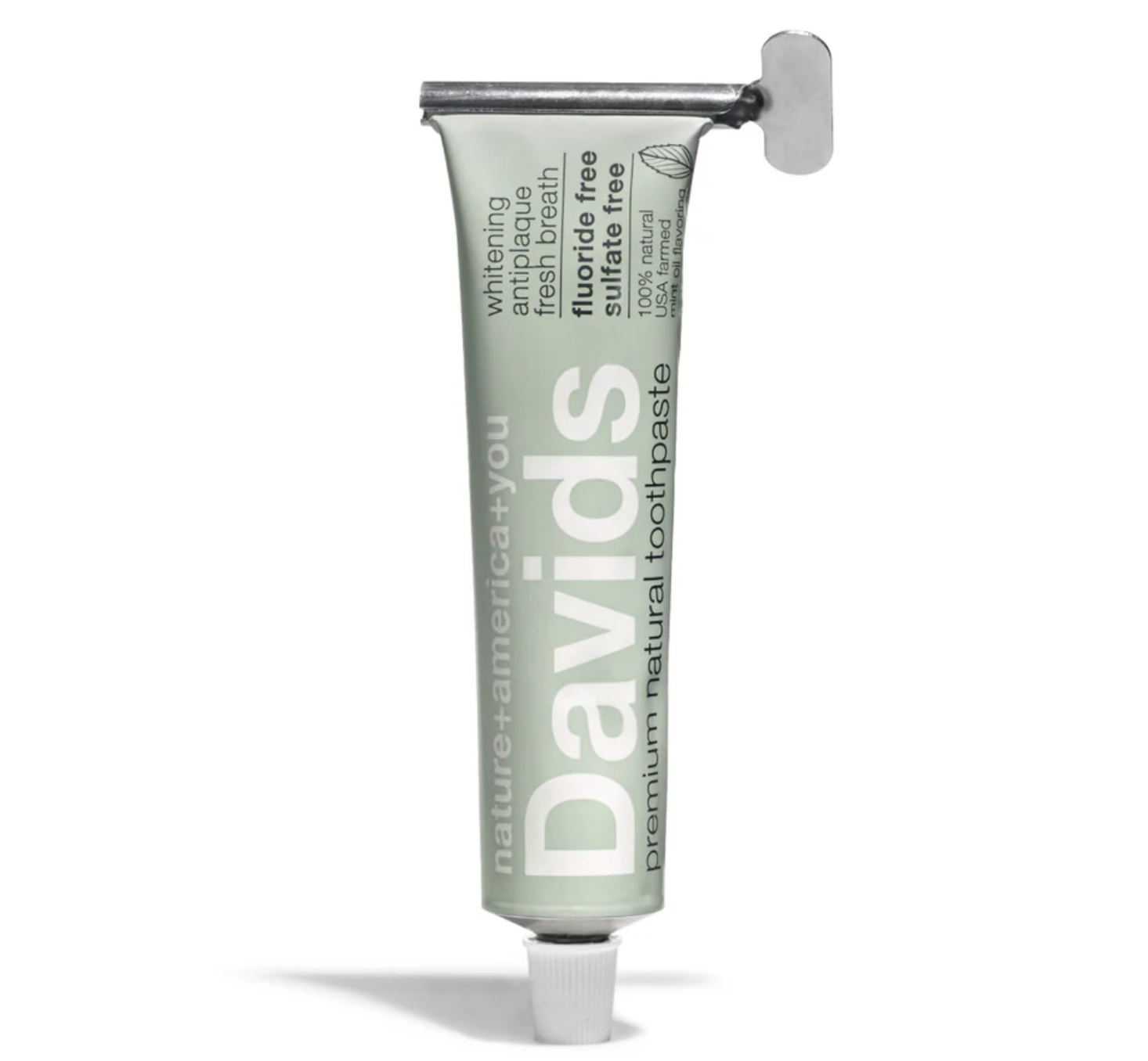 1287-davids-toothpaste-17170475634742.png